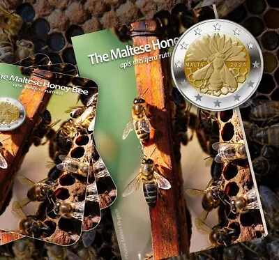 Presale Malta 2024 Honey Bee 2 Euro Bu Coincard • $39.99