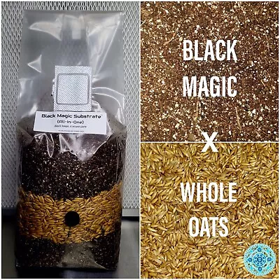 Premium Exotic Dung ALL-IN-ONE Mushroom Grow Kit 1 Pack Kit 3.5lb Bag (OATS) 🍄 • $34.99