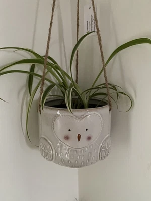 £9.95 • Buy Olivia Owl Hanging Plant Pot Planter - Ceramic Indoor House Bird Face