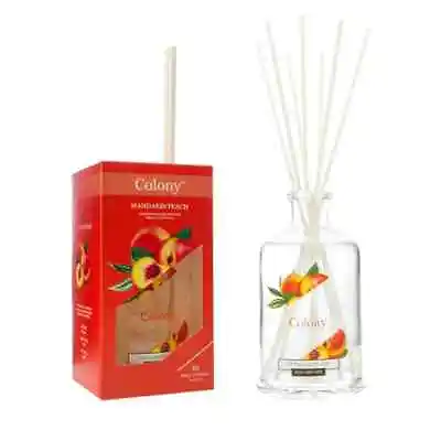 Wax Lyrical Colony Reed Diffuser - Mandarin Peach 200ml 🌹 🌻 🌷 🌼 • £11.99