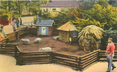 $8.57 • Buy Michigan Detroit 3 Little Pigs Children's Zoo 1940s Tichnor Postcard 22-10143