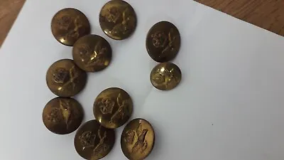 RAF Brass Coat Buttons 10 • £12