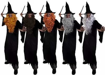 Wizard Fancy Dress With Wig And Beard Set Costume Magical Film Prof Fancy Dress • £12.99