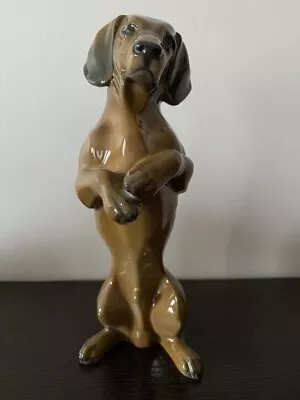 Vintage Porcelain Figurine Standing Dachshund Dog Figure Germany Height 18 Cm • $425