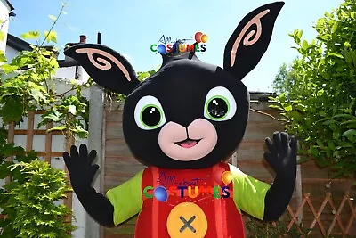 Hire Bunny Lookalike Costume Mascot Fancy Dress Delivery Within UK L9 • £50