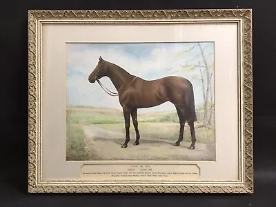 Racehorse Watercolour By Richard Anscomb Newmarket “Cyrus” 1959 • £195