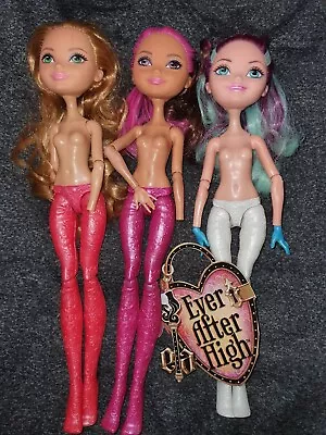 Ever After High Bundle Epic Winter Briar Ashlynn Madeline • £30