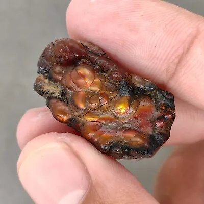 25.66CT Beautiful Iridescent Mexican Window Fire Agate Rough Specimen • $25