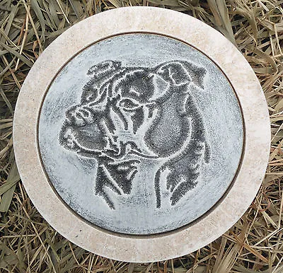 Rottie Stepping Stone Plastic Mold Concrete Plaster Mould  10  X 1.5  Thick • $33.95