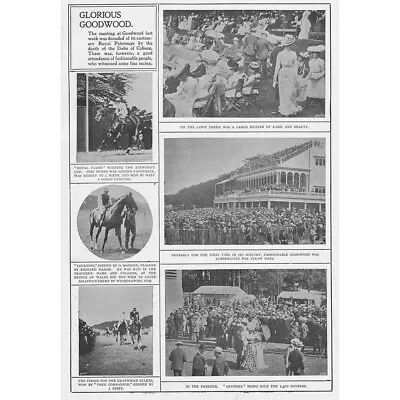 HORSE RACING Glorious Goodwood - Antique Print 1900 • £13.99