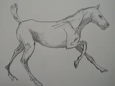 Expressive Pencil Drawing After Edgar Degas Of A Galloping Horse • £29.99