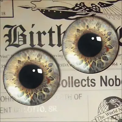 Glass Zombie Eyes Realistic Monster Taxidermy Doll Eyeball 12mm Set • $7.99