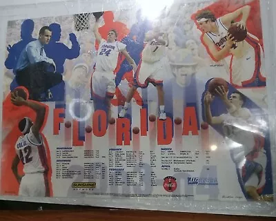 UF Florida Gators Basketball 2003 Poster • $15