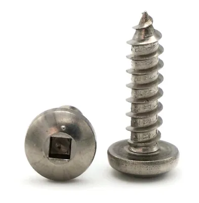 #8 Sheet Metal Screws - 316 Stainless Steel Square Drive Pan Head - Select Size • $350
