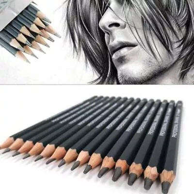 6H-12B Sketching Drawing Set Charcoal Pencils Art Pencil Kit Painting Stick Tool • £8.19