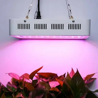 £22.29 • Buy 1200W Full Spectrum LED Grow Light Plant For Indoor Tent Greenhouse Hydroponic