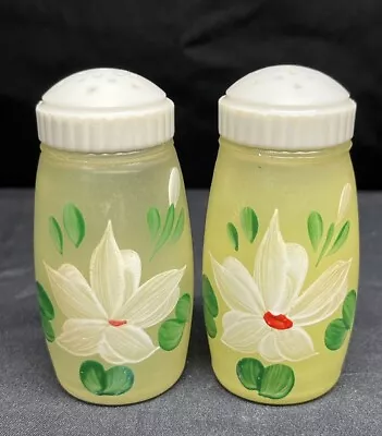 Vintage Hand Painted Enamel Flowers Frosted Glass Salt And Pepper Shakers. • $15
