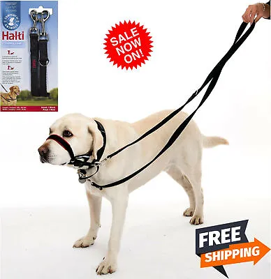 Double Ended Halti Training Lead For Dog Head Collar And No Pull Harness Black • £12.48