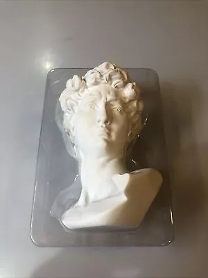 6 Inch Michelangelo's David Bust Statue (White) • $12