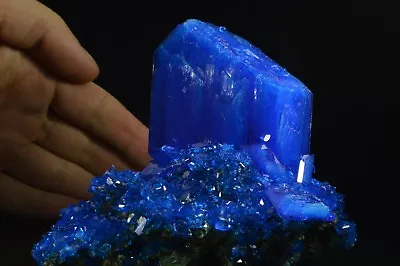 Chalcanthite BIG Blue Crystal Matrix Poland Specimen Copper Sulfur Like Azurite • $29.60