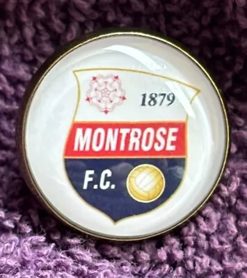 New  Montrose Quality  Enamel /Metal / Silicone Pin Badge Uk Seller 2cm • £3