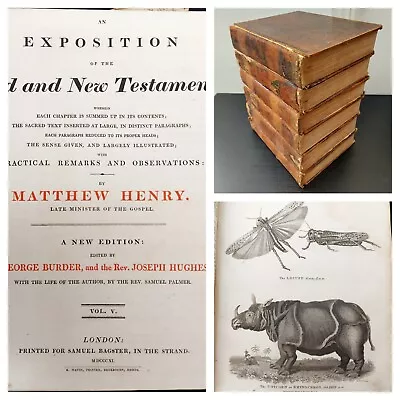 1811 - Exposition Of The Old And New Testament By M. Henry - 6 Volumes - 13.5kg • £120