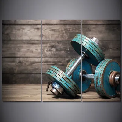 Dumbbells Fitness Bodybuilding Gym 3 Piece Canvas Print Wall Art Home Decoration • $103.85