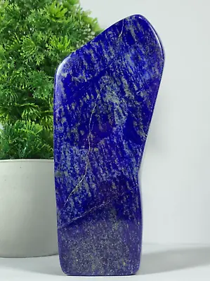 983Gram Lapis Lazuli Freeform Rough AAA+ Grade Tumbled Polished From Afghanistan • $179.99