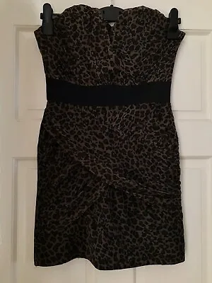 £3.90 • Buy Eva & Lola Boob Tube Brown Leopard Bodycon Dress Size M