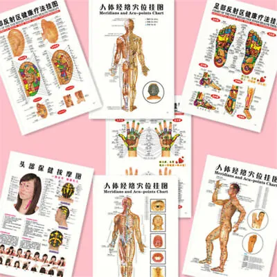 7Pcs/Set English Acupuncture Meridian Acupressure Points Posters Chart Wall Map • $11.49