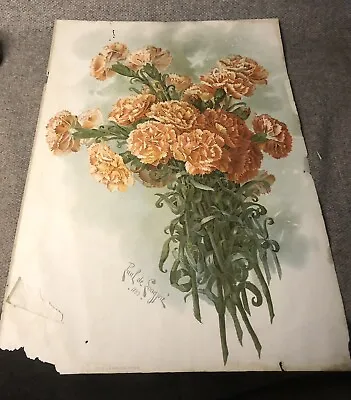 ANTIQUE 1899 PAUL DE LONGPRE CHROMOLITHO PRINT THE LAWSON PINK FLOWERS 22”x15” • $161.95