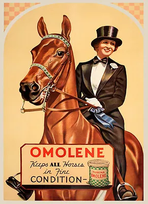 Lady Horse Dressage Eat Omolene For Fine Condition Vintage Poster Repro FREE S/H • $22.15