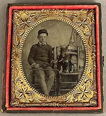 Boy With Doberman Dog 1/6 Plate Tintype (not Daguerreotype) Whip Half Case • $43