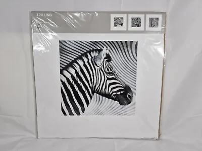 Discontinued IKEA 2003 3x Zebra Animal Prints 50cmx50cm • £16.95