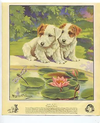 ADORABLE PUPPIES Vintage Calendar Print Pond Water Lillies Dragonfly By Kirmse • $34.99