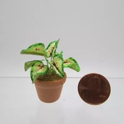 Dollhouse Miniature Coleus House Plant In Pot G6331 • $5.57