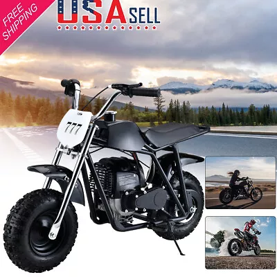 Mini Dirt Bikes For Kids Gas Powered 4-Stroke 40cc Off-Road Motorcycle Pit Bike • $319
