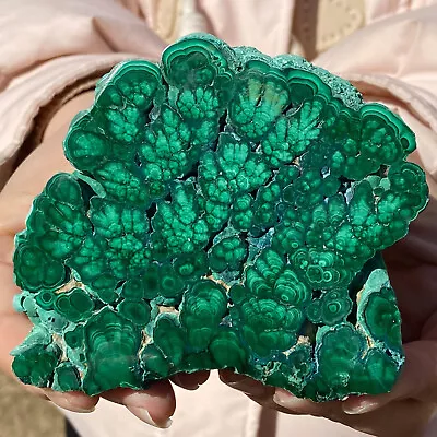 341G  Natural Green Malachite Crystal Block Polished Quartz Pattern Specimen • $0.99
