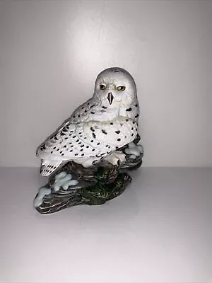 Maruri Snowy Owl Bisque Porcelain Majestic Owls Night 1986 Hamilton Collection • $37.60