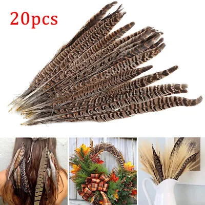 20Pcs Natural Pheasant Tail Feathers 10-12 Inch Long DIY Craft Party 25-30cm Kit • £11.42
