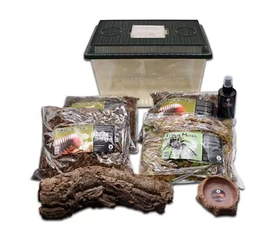 £39.99 • Buy The Spider Shop Bugs Starter Kit