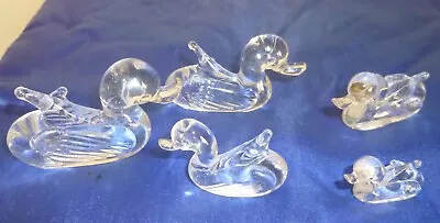 Collection Of Solid Glass Ducks • £4.99