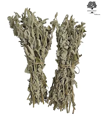 Wild Greek Sage Herbal Tea Whole Bunch | Harvest 2023 Premium Quality • £45.90