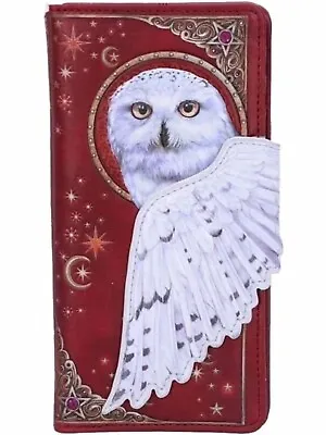 £18.98 • Buy NEW Magical Flight White Owl Long Purse Wallet By Nemesis Now UK Hedgewig Style