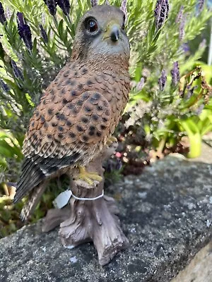 Kestrel Bird Of Prey Sculpture Resin Kestrel Garden Figure Kestrel Gift Kes • £27.99