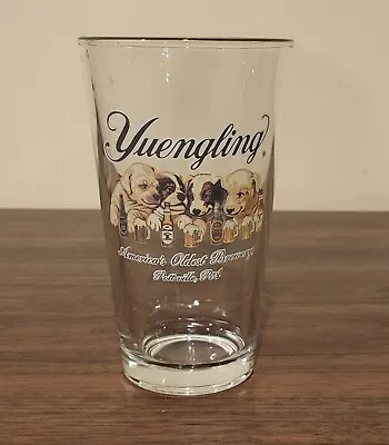 Yuengling Puppies Logo Beer Glass Pottsville PA USA • $16.50