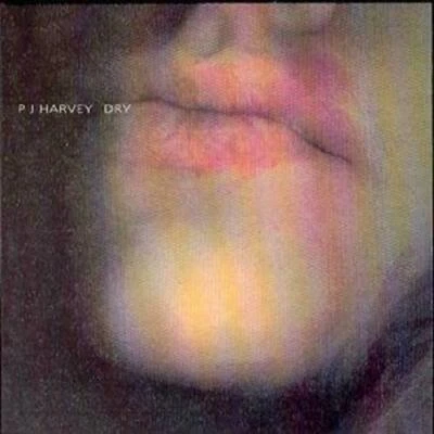 £8 • Buy PJ Harvey  |   Dry   |  CD   |  U.S. Import Version On Indigo