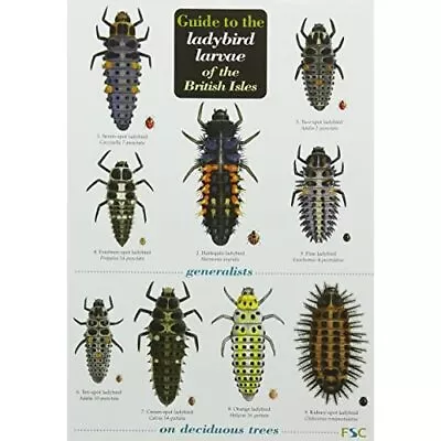 Guide To The Ladybird Larvae Of The British Isles (Char - Paperback NEW Peter Br • £7.56