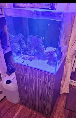 Marine Fish Tank Set Up 145l • £170