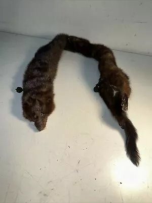 Capitol Fur Co. Mink Fur Neck Collar Scarf 2 Mink Full Body Pelt Dark Brown 39  • $29.95